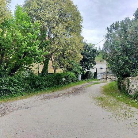 Casina Gentili Apartman Perugia Kültér fotó